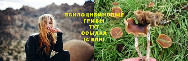MDMA Premium VHQ Инсар