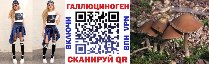 Купить где  Инта  Псилоцибиновые грибы GOLDEN TEACHER 